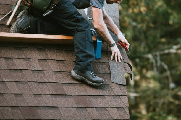 Best Roof Gutter Cleaning  in Sardis, MS